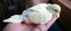 IMG_20170625_174716.jpg