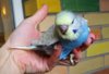 IMG_20170625_175027.jpg