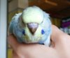 IMG_20170625_174957.jpg