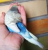 IMG_20170625_174936.jpg