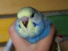 IMG_20170625_174849.jpg