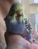 IMG_20170625_175117.jpg