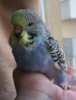 IMG_20170625_175132.jpg