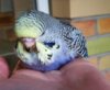 IMG_20170625_175210.jpg