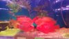 IMG-20170625-WA0016.jpeg