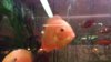 IMG-20170625-WA0050.jpeg