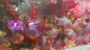 IMG-20170625-WA0038.jpeg