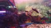IMG-20170625-WA0034.jpeg