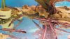 IMG-20170625-WA0085.jpeg