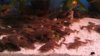 IMG-20170625-WA0006.jpeg