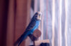 _DSC5114@0,25x.jpg
