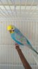 IMG_20170426_094102.jpg
