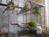 DSCN9658.JPG