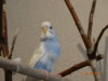 DSC01978.JPG