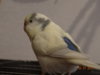 DSC01989.JPG