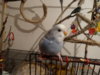 DSC01995.JPG