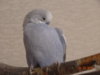 DSC01982.JPG