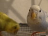 DSC01993.JPG