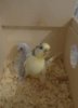 DSC00894.JPG