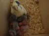 DSC01274.JPG