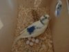 DSC01050.JPG