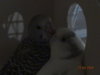 DSC01375.JPG