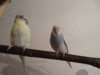 DSC01536.JPG