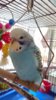 DSC_2509.JPG