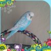 20170409_150548.jpg