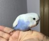 image.jpeg