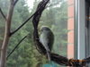 DSC02000.JPG