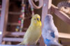 _DSC5130@0,25x.jpg