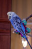 _DSC5283@0,25x.jpg
