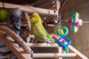 _DSC5045@0,25x.jpg