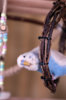 _DSC4974@0,25x.jpg