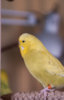 _DSC4975@0,25x.jpg