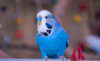 _DSC5190@0,25x.jpg