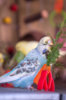 _DSC5244@0,25x.jpg