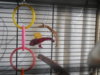 DSCN9663.JPG