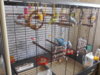 DSCN9662.JPG
