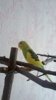 IMG_20170706_153623.jpg