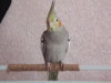 DSCN0502.JPG