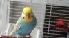 IMG_20170427_135203.jpg