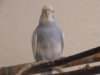 DSC02013.JPG