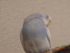 DSC02024.JPG