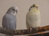 DSC02012.JPG