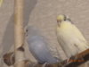 DSC02016.JPG