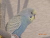 DSC02014.JPG