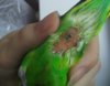 IMG_20170708_181635.jpg