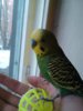IMG_20170328_163205.jpg
